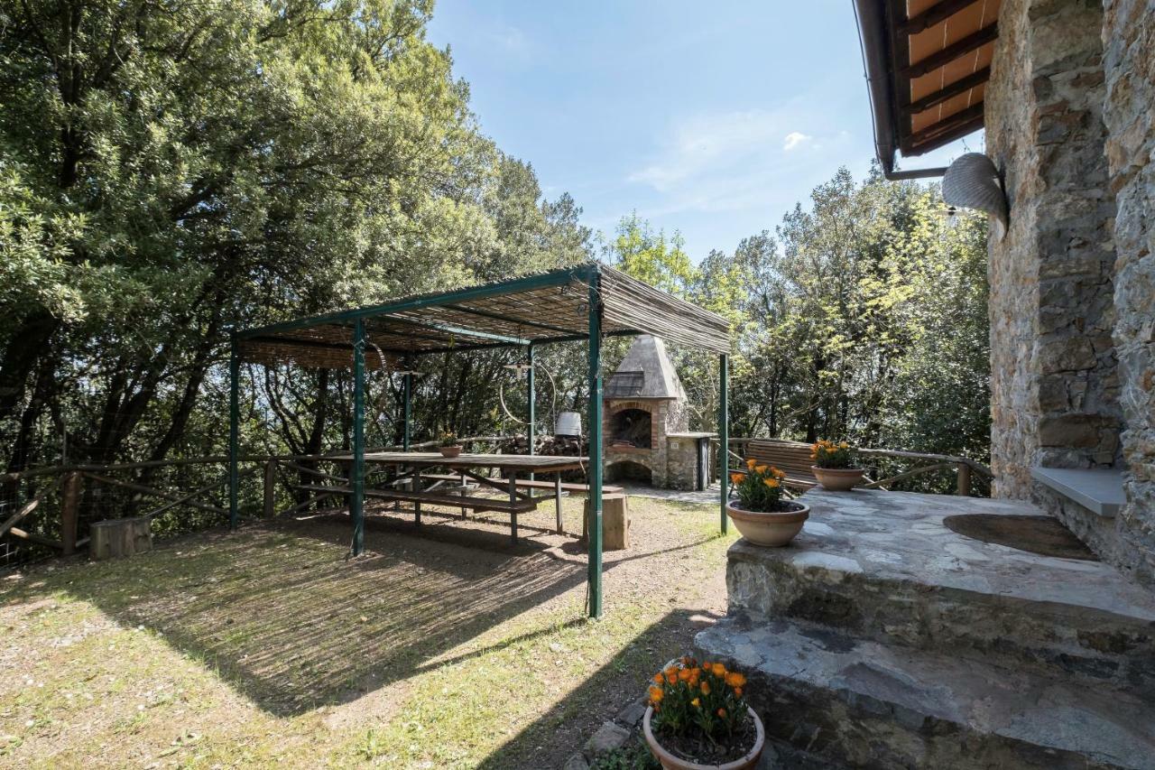 Villa Fattoria Ceragioli Camaiore Exterior foto